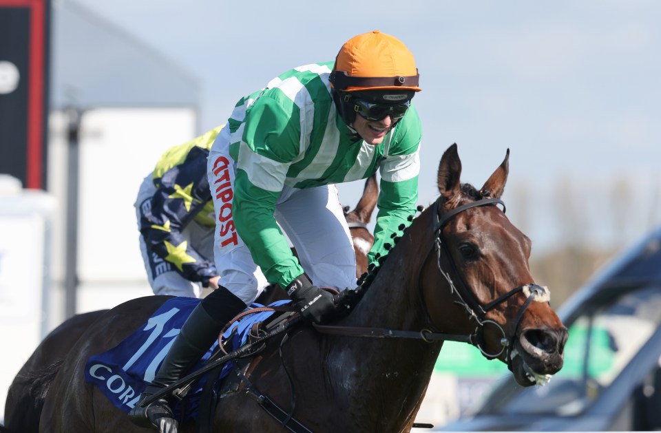 Macdermott won the Scottish Grand National at 18-1