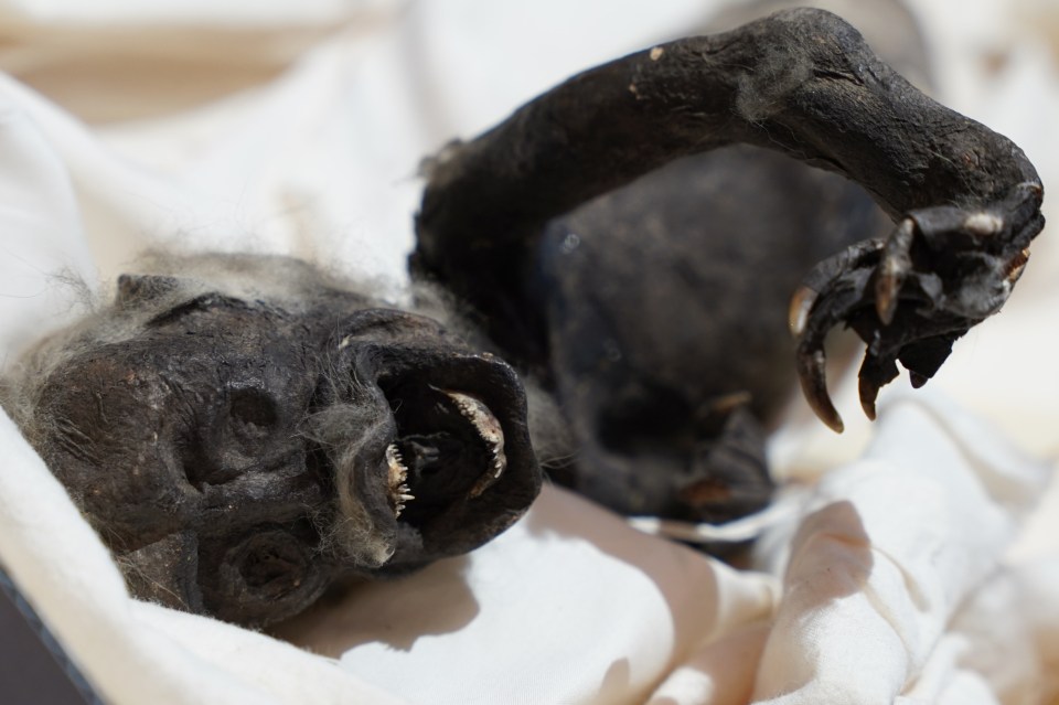 It has a grimacing face, strange teeth, and oversized claws