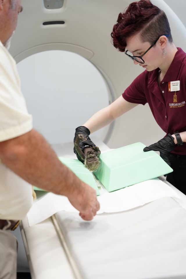 They performed X-rays and CT scans on the creature to know more about it