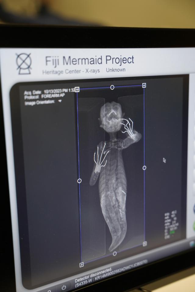 X-ray results found the so-called mermaid is partly built of synthetic material