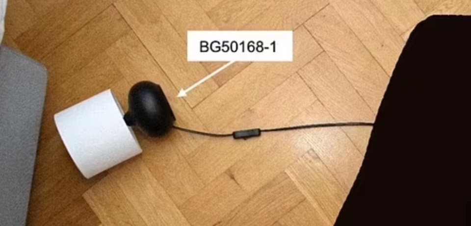 A lamp cord - possibly the murder weapon - found at the crime scene by cops