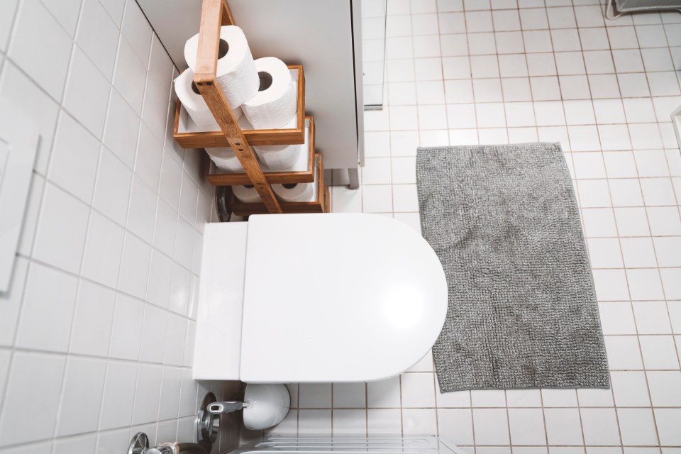 The cleaning pro also says toilet mats are a complete no-go