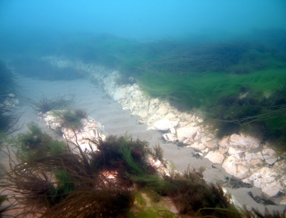 The reef stretches for roughly 20 miles and is a popular spot with divers