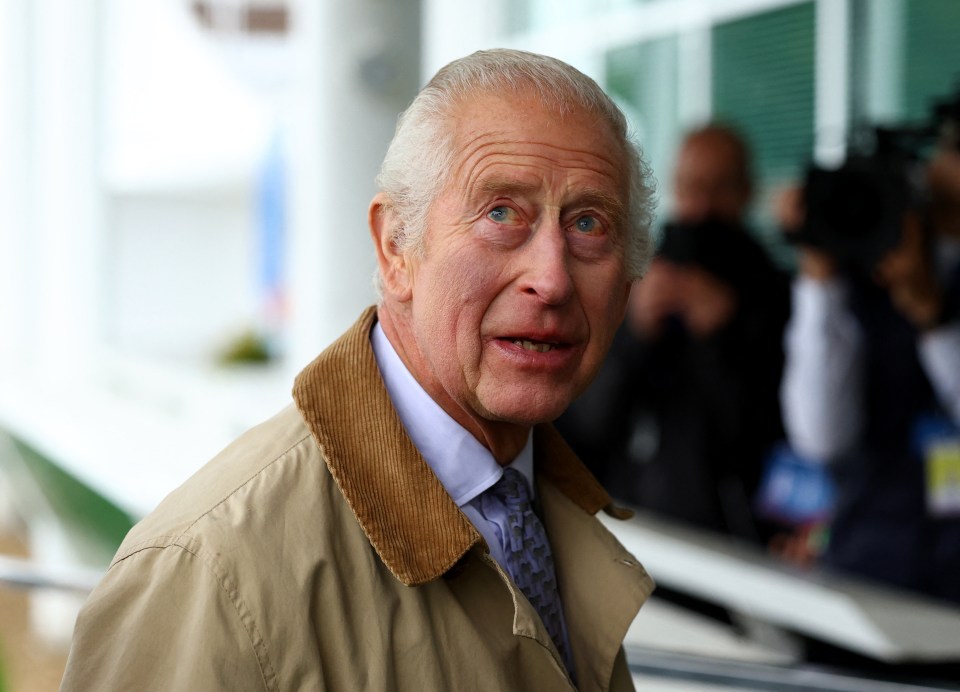 a man in a tan jacket and tie looks at the camera