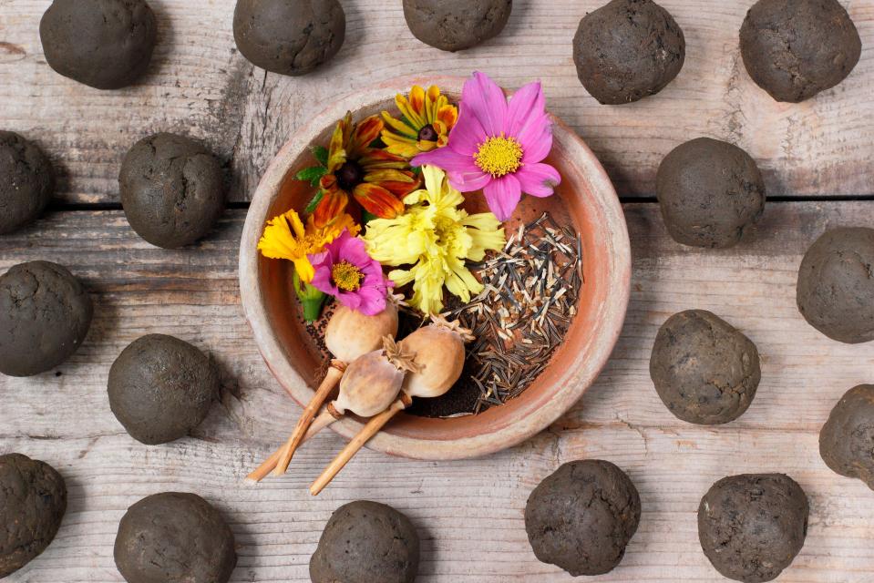 2DYP6W6 Ingredients for making flower seed bombs - clay soil made into rounds, various seeds and optional petals for decoration. UK