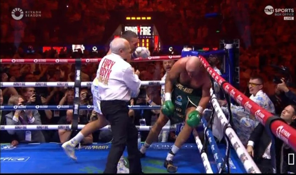 But referee Mark Nelson bizarrely stopped Usyk from landing a telling blow