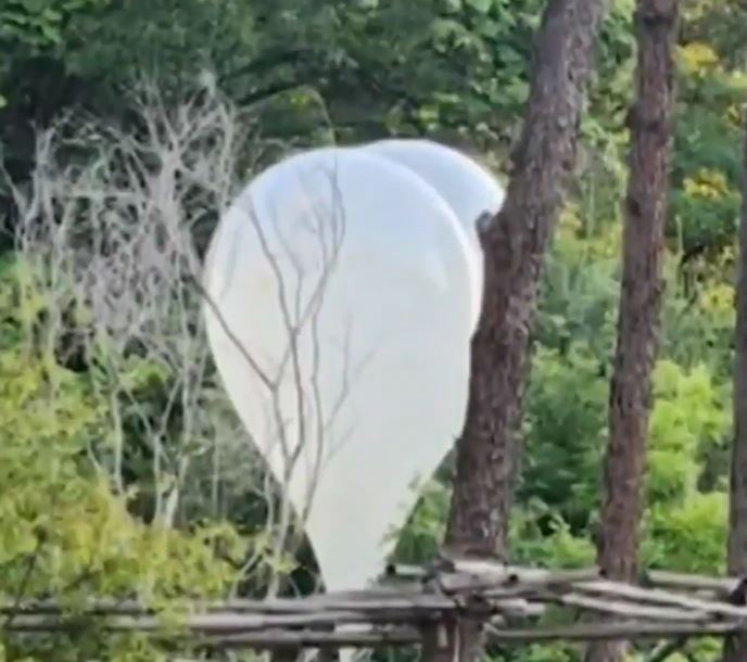 One of them landed in a forest near the border