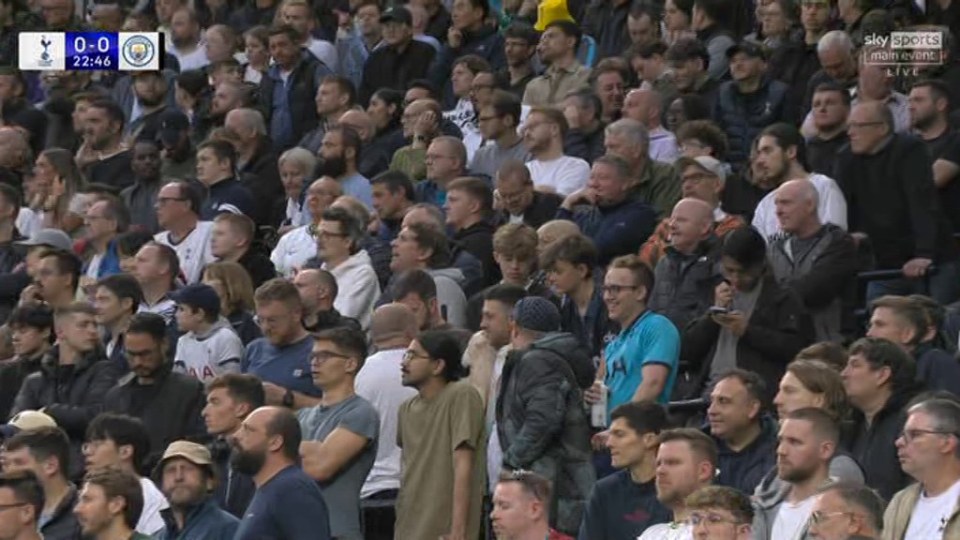 A few Tottenham fans carefully selected their sky-blue shirts