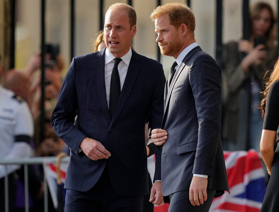 Harry will not meet his brother Prince William
