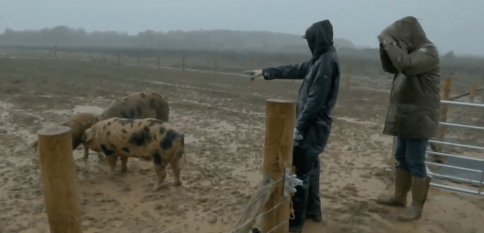 Clarkson Farm fans were in stitches during the latest 'Porking' episode
