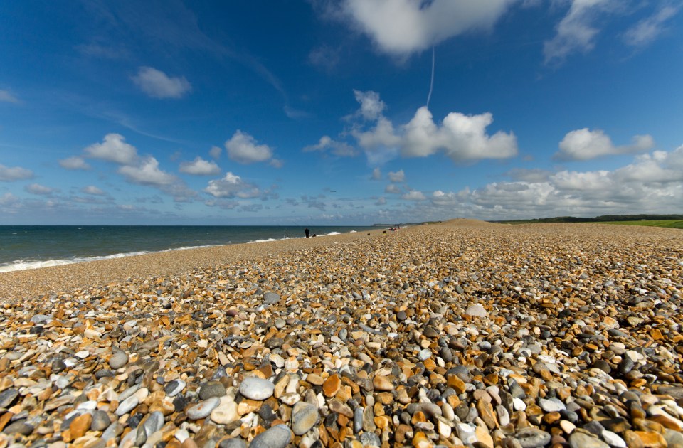 The Norfolk Coast is home to the largest reef of its kind in Europe