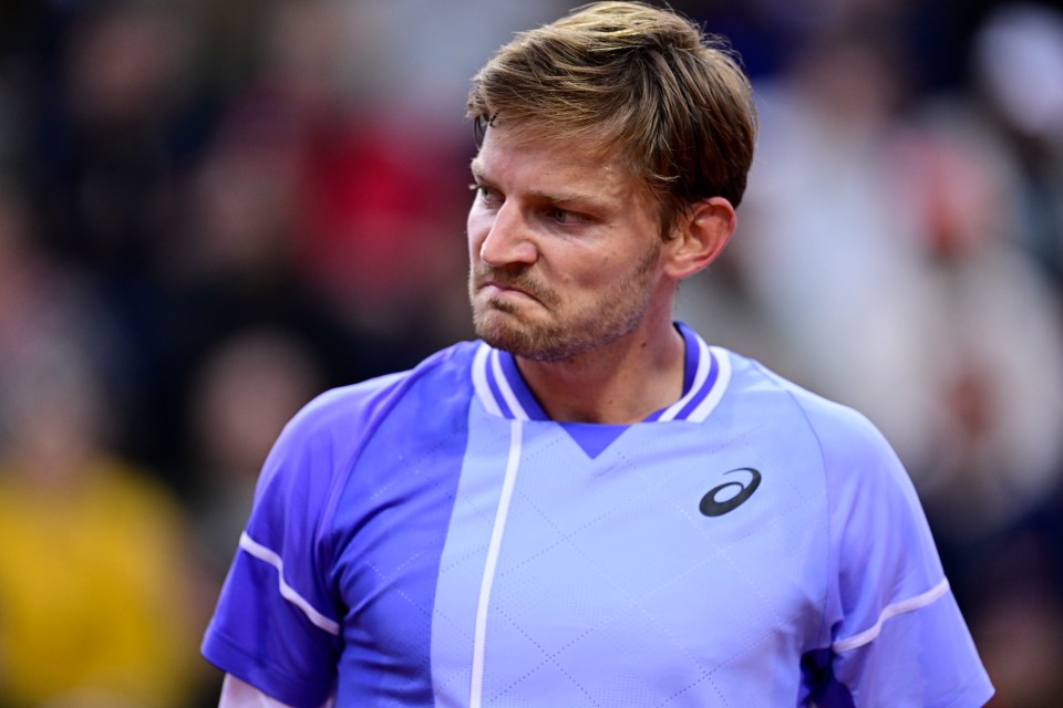 David Goffin claimed someone spat chewing gum at him