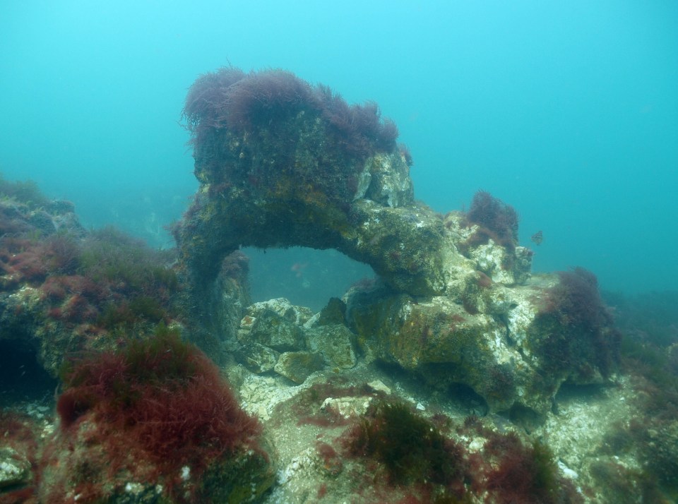Cromer Shoal Chalk Bed has been dubbed Britain's Great Barrier Reef