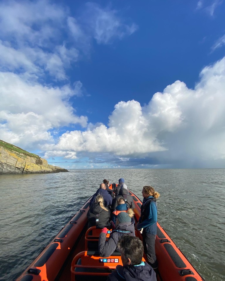A Bay to Remember offers 1.5 hour boat trips that cover up to 20 miles to see the dolphins