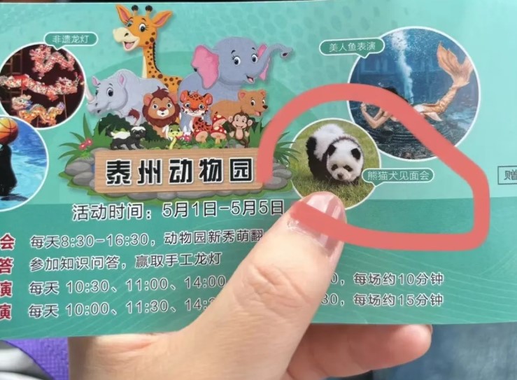 This picture shows the entrance ticket to the zoo featuring a picture of the 'panda dog'
