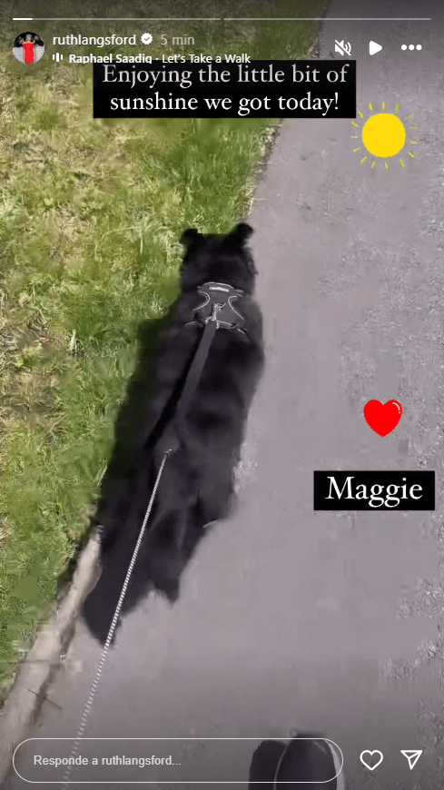 The TV star enjoyed a dog walk this afternoon