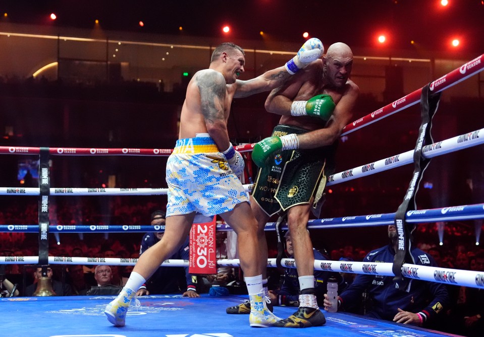 The Gypsy King suffered a split decision defeat to the Ukrainian