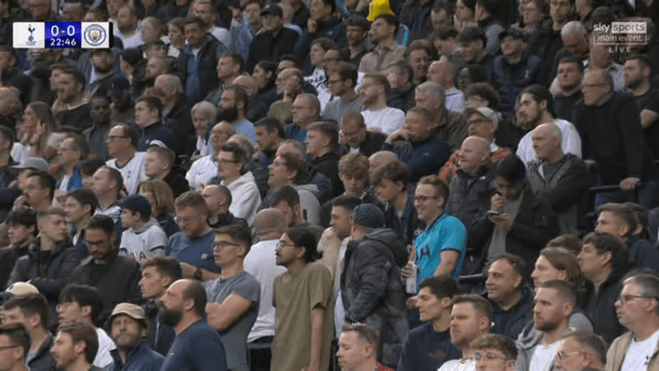 Some Tottenham fans were not as desperate as usual for victory
