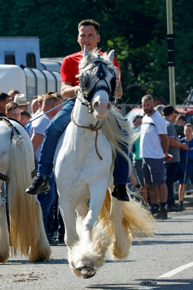 A rider gallops down the road on a horse