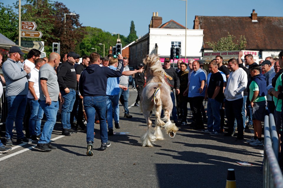 People cheer as another pony is led down the road