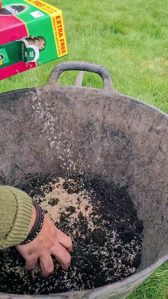According to the green-fingered influencer, all you need is seed mix and compost