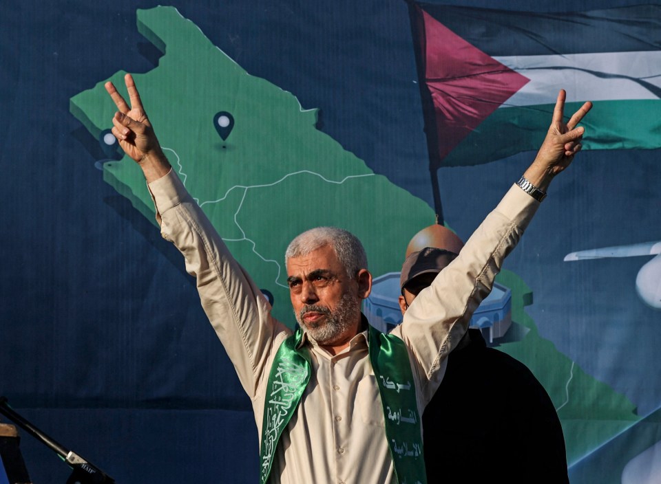 Hamas kingpin Yahya Sinwar is said to be on top of the IDF's hit list