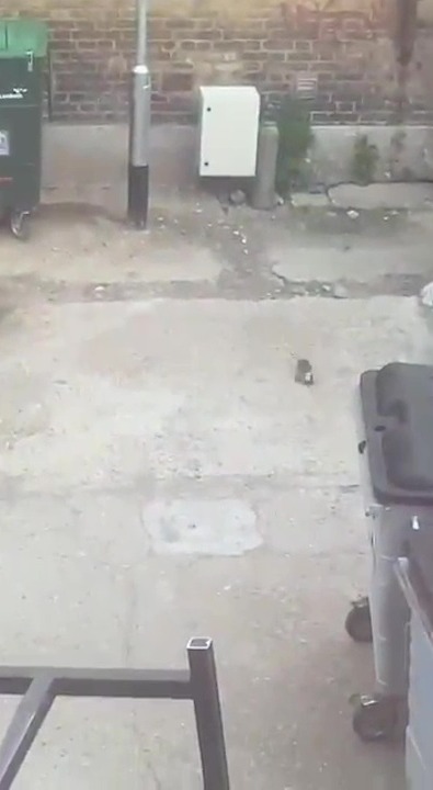 a screenshot of a video from the sun exclusive