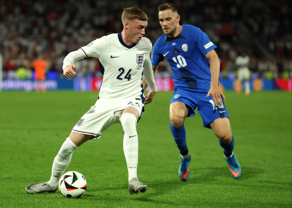 Slovenia midfielder Timi Max Elsnik, seen here closing down Cole Palmer, said the Chelsea star was a handful for Slovenia