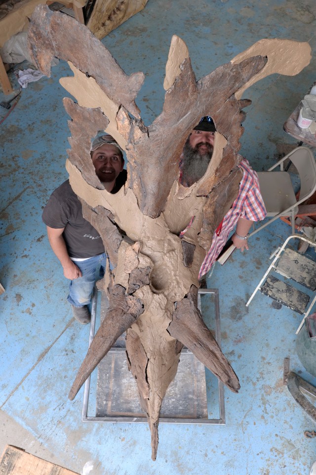 two men are standing next to a large piece of wood