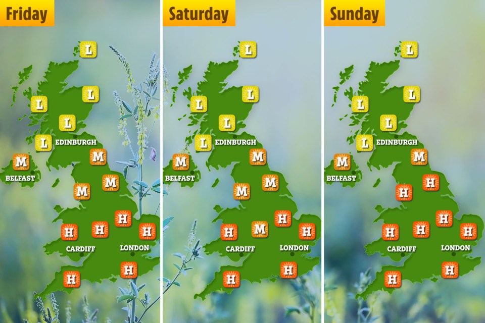 Pollen levels are due to be 'high' from June 7 to 9