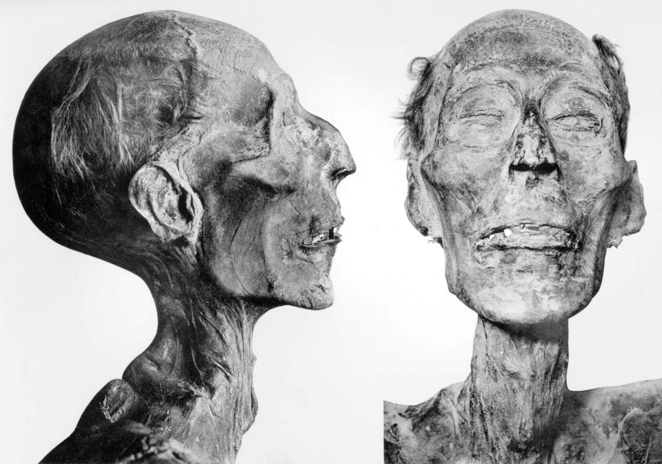 Ramesses' 3000 year old mummy was used by experts to recreate his face