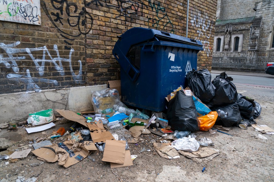 a blue recycling bin sits next to a pile of garbage
