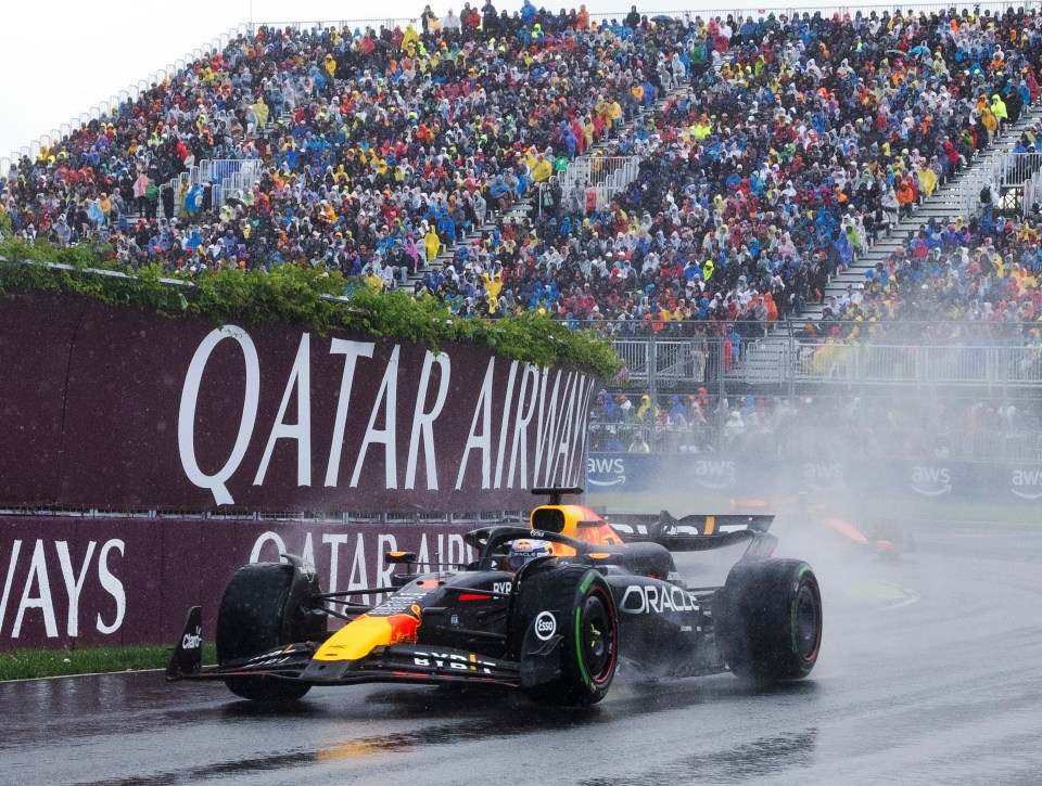 Max Verstappen swerved to avoid the stranded animal