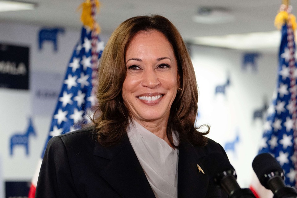 Kamala Harris looks like she would make a credible American President