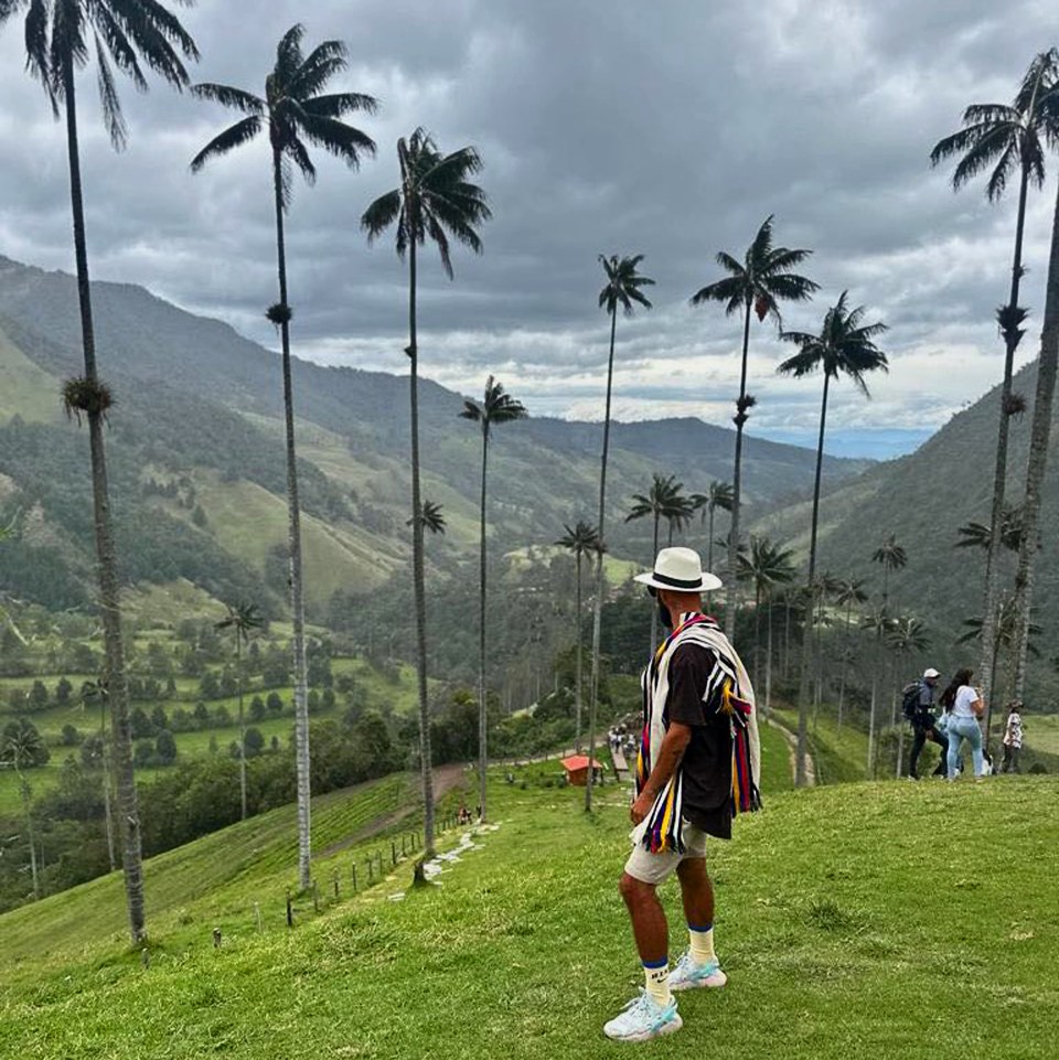 a man in a hat stands on a hill overlooking a valley with palm trees