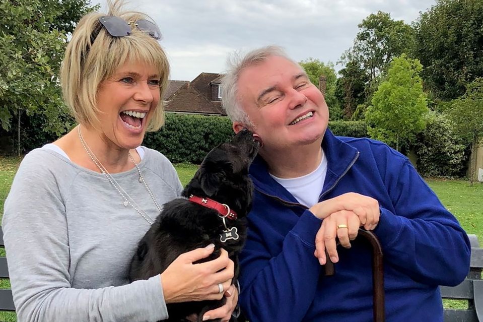 Ruth Langsford and Eamonn Holmes announced their split in May