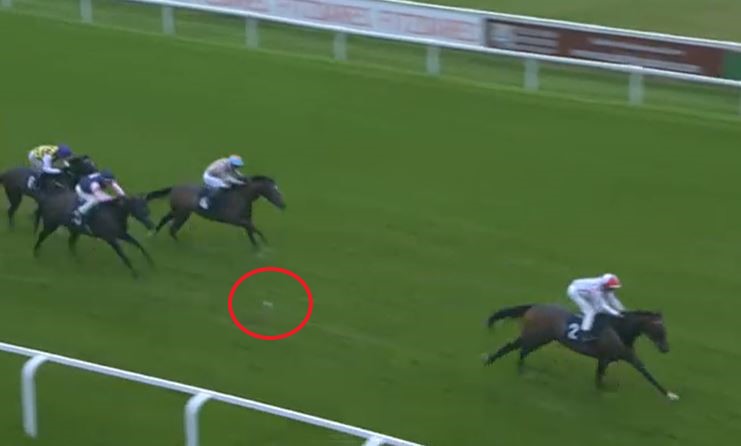 It was a minor miracle the cup didn't interfere with the runs of the horse in behind