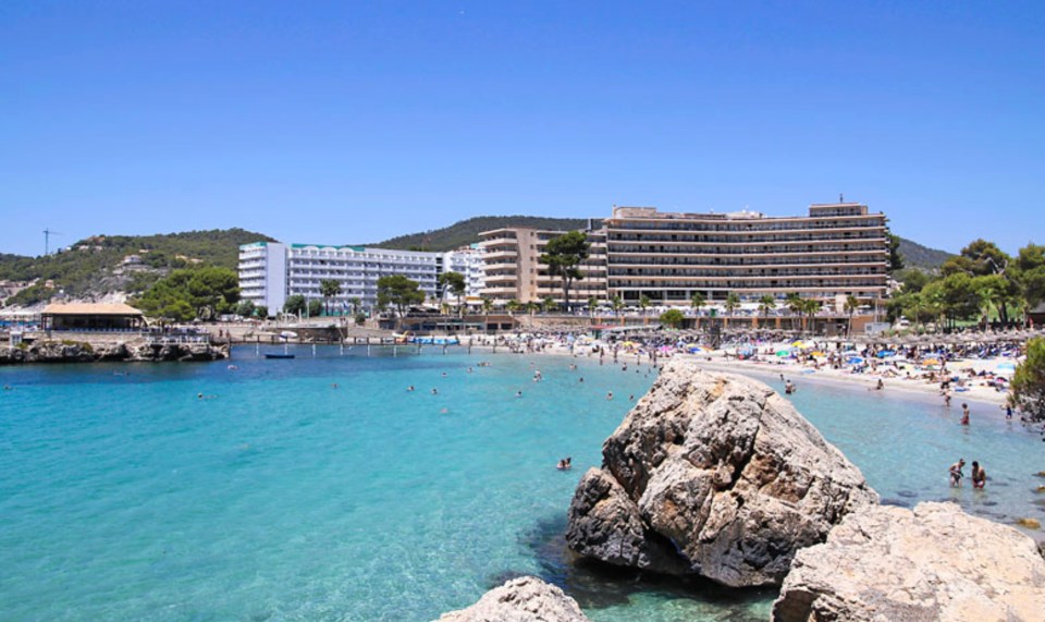 The 46-year-old is in a serious condition after the freak accident near a beach in Palma, Majorca