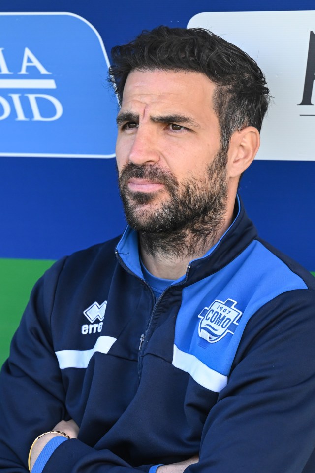 Cesc Fabregas is on the verge of signing a Premier League legend - who is aged 41