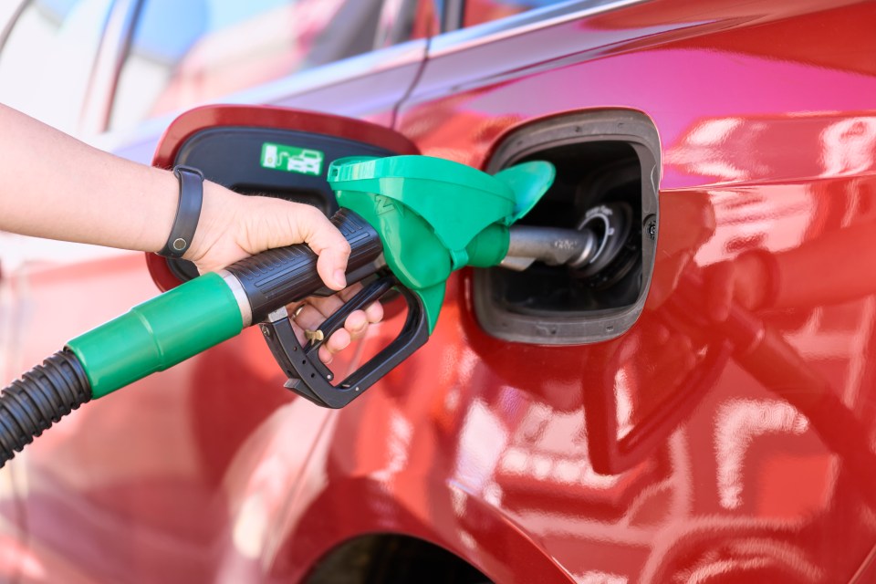 A car expert has picked out a handful of motors that are brilliantly efficient on fuel