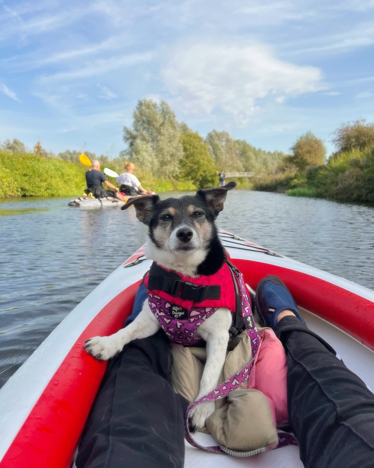 Betty died this weekend after being in Maisie's family for 18 years