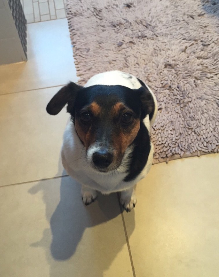 Betty became the Smith family pet, with Max also looking after her