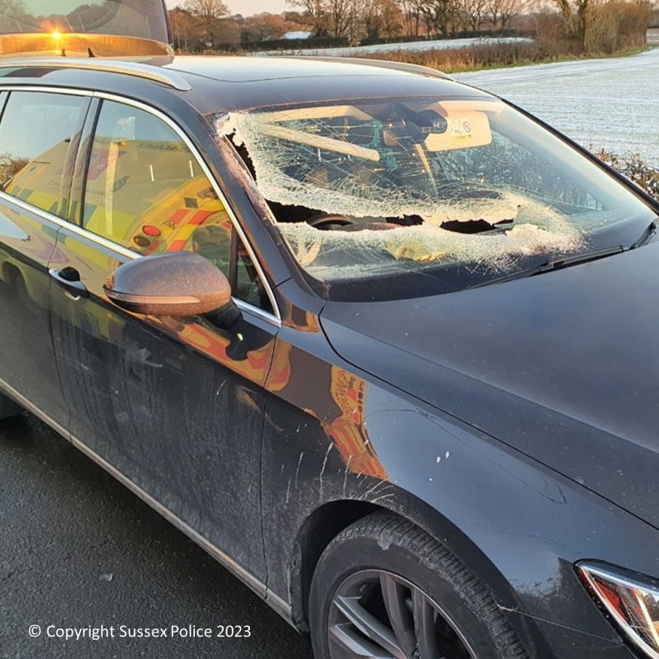 Maria Dennis says she can never forgive the driver