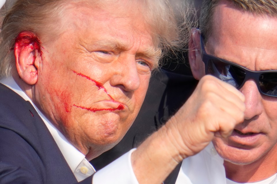 a man wearing sunglasses looks at a man with a scratch on his face