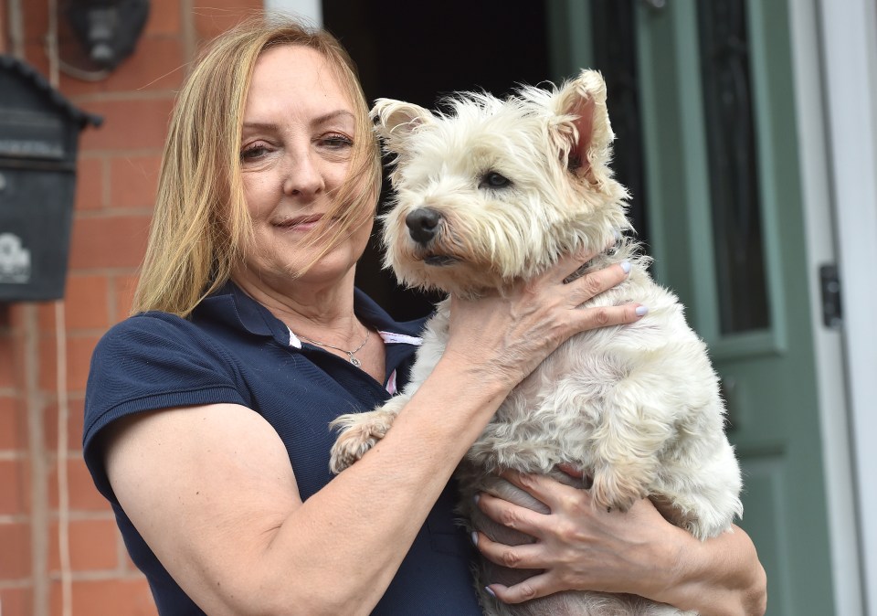 a woman in a blue shirt is holding a small white dog