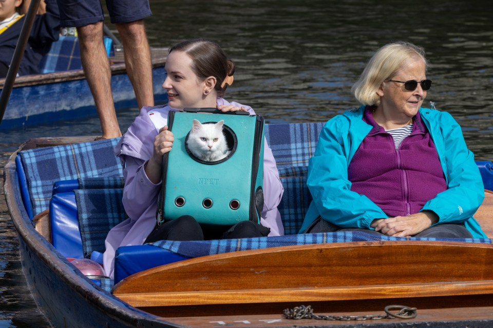 a woman carrying a cat in a bag that says pet on it