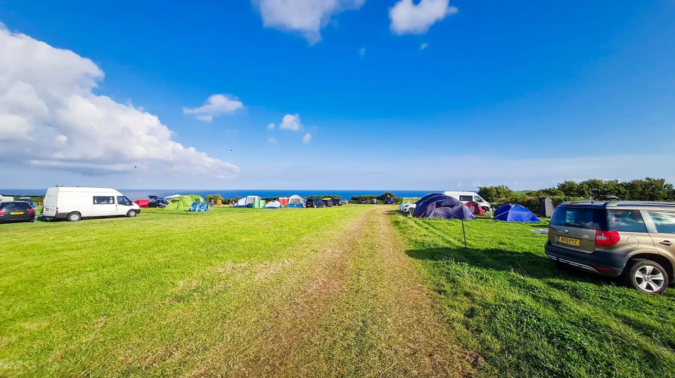 a row of tents are lined up in a grassy field
