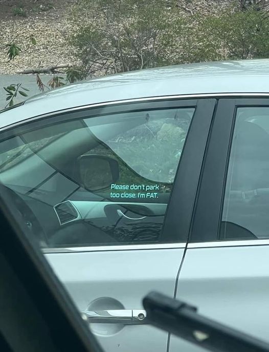 One driver came up with an ingenious way to tackle the problem