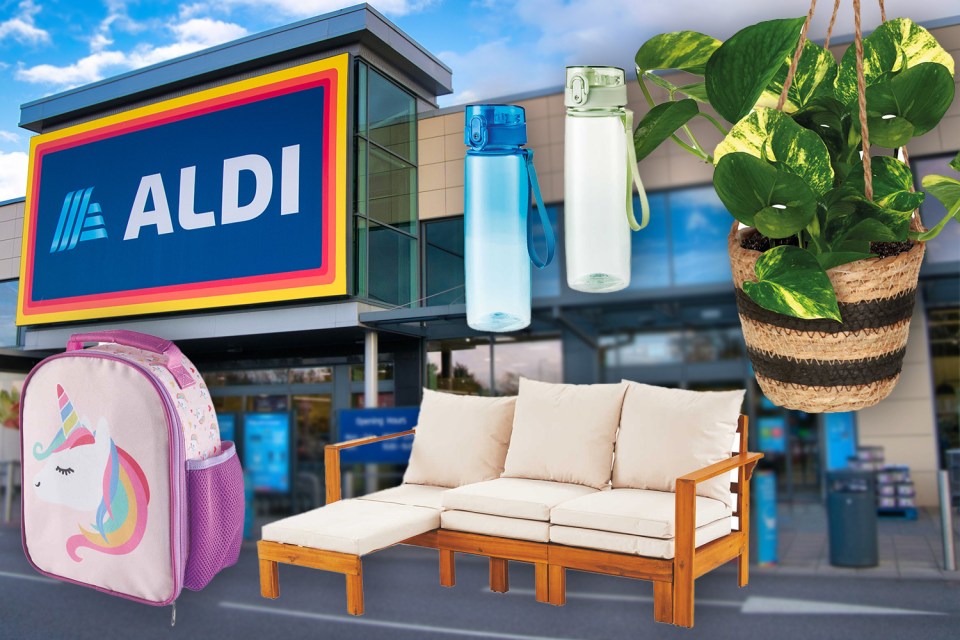 a purple backpack sits in front of an aldi store