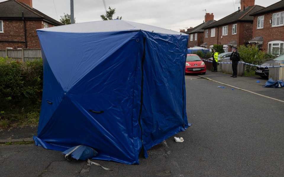 a blue tent is set up on the side of the road